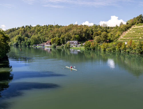 Die Region Stuttgart am Neckar: Wassersport & Entspannung